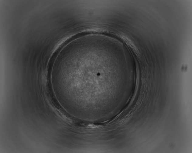 X0000090630484200707171451