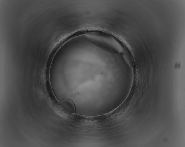 X0000090630487200707171451