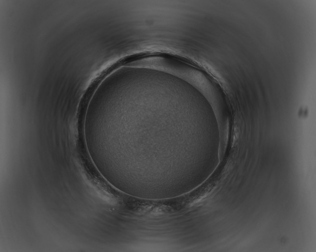 X0000090630488200707171451