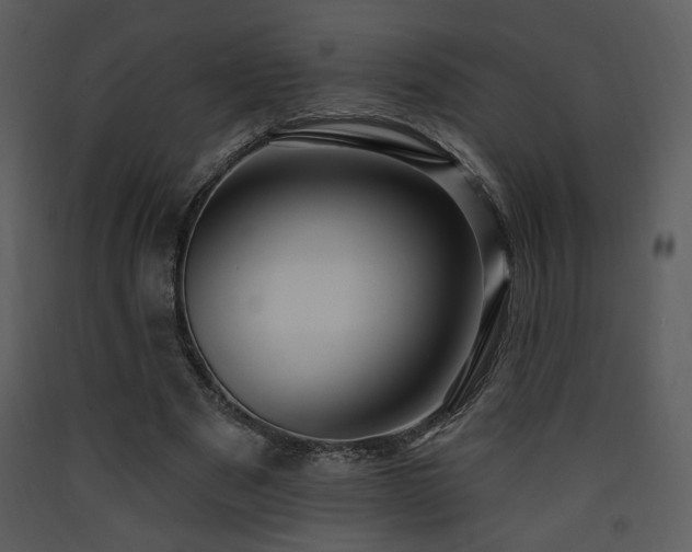 X0000090630489200707171451