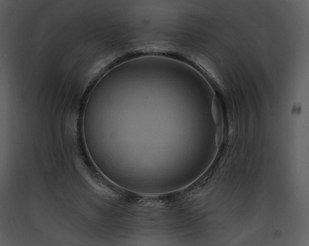 X0000090630491200707171451