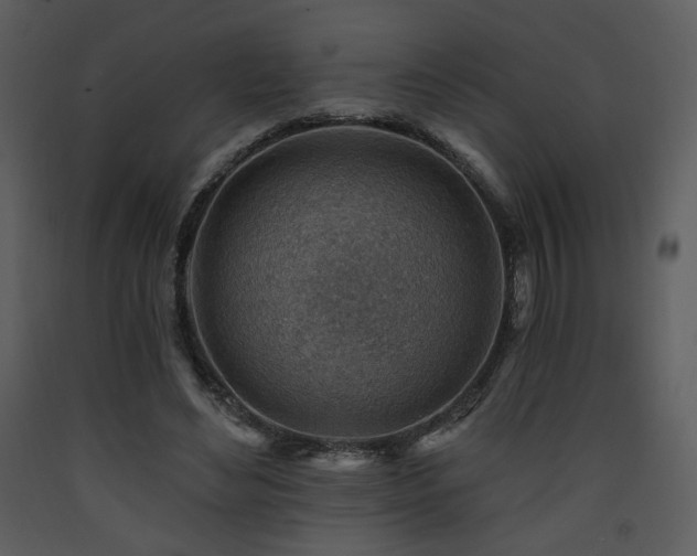X0000090630492200707171451