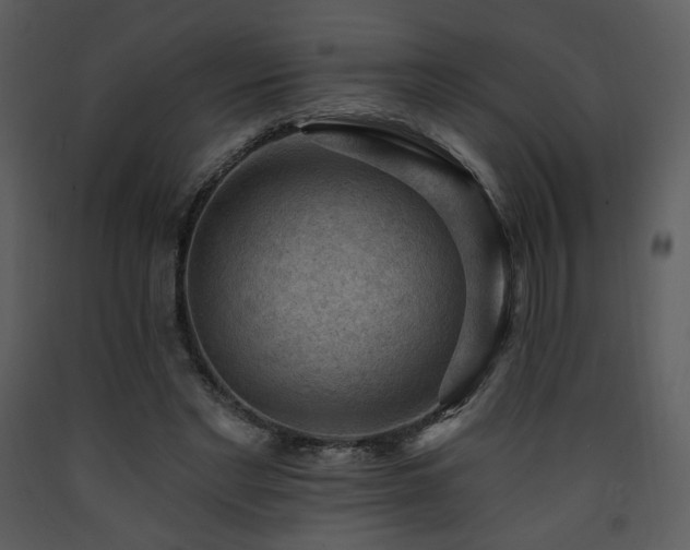 X0000090630493200707171451