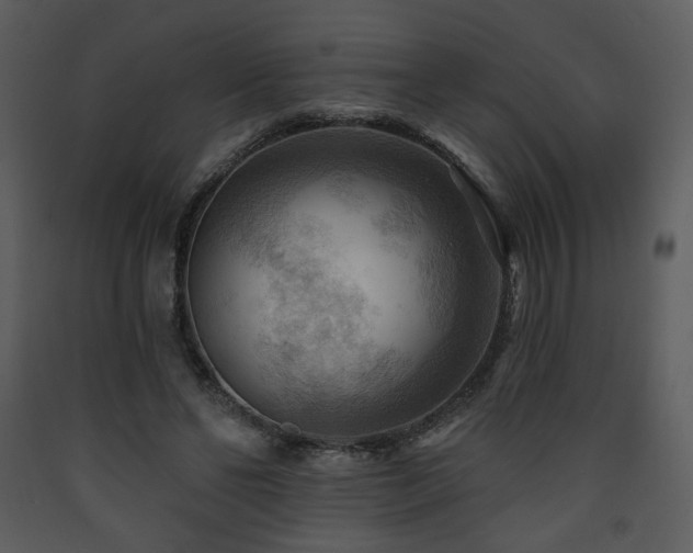 X0000090630494200707171451