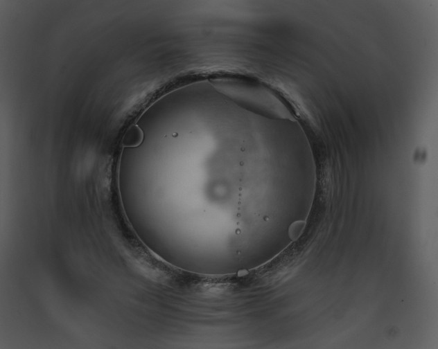 X0000090630495200707171451