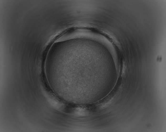 X0000090630496200707171451