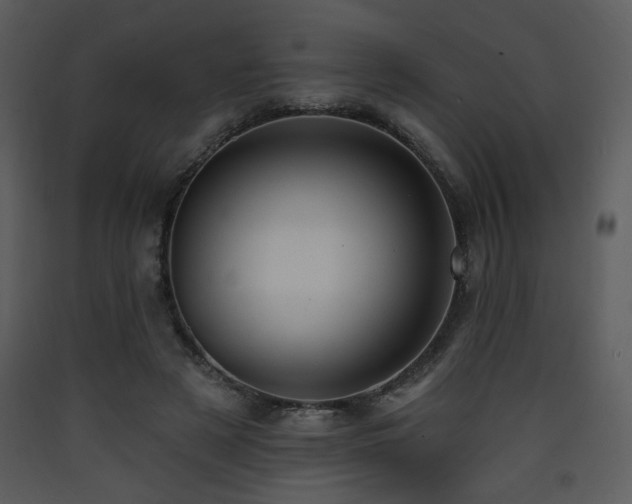 X0000090630497200707171451