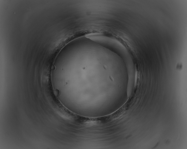 X0000090630499200707171451