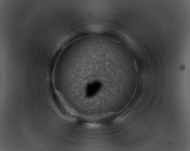 X0000090630500200707171451