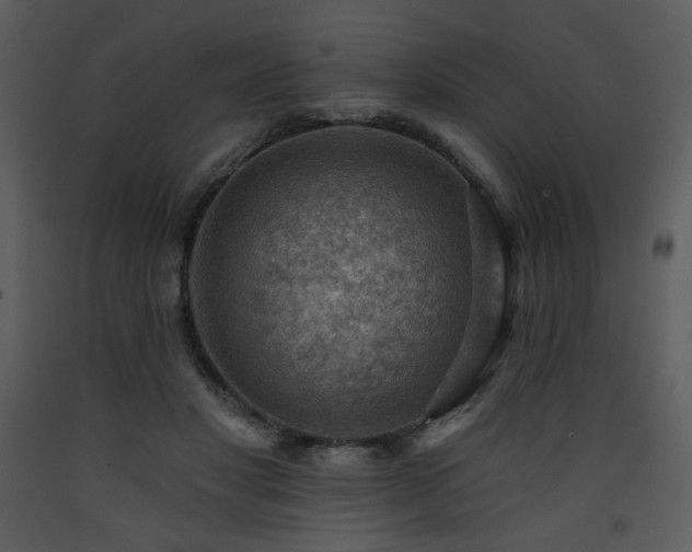 X0000090630501200707171451