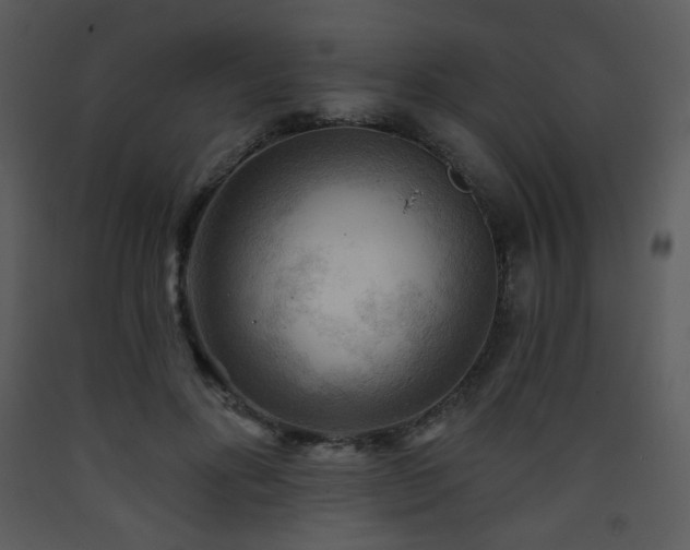 X0000090630502200707171451