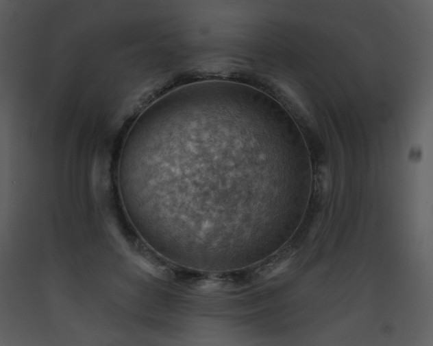 X0000090630504200707171450