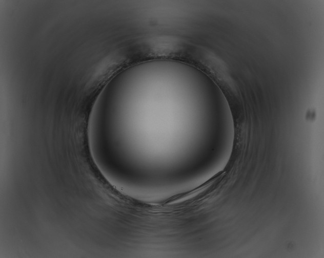 X0000090630505200707171450