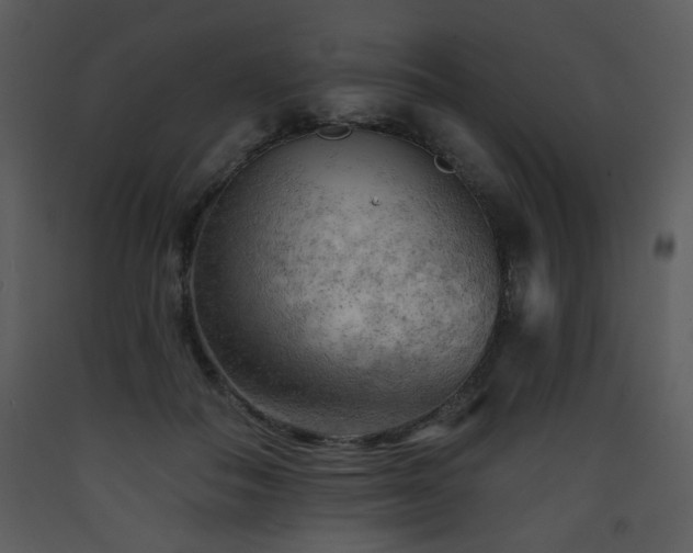 X0000090630506200707171450