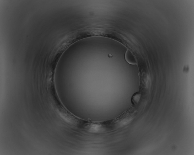 X0000090630507200707171450