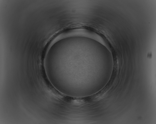 X0000090630508200707171450