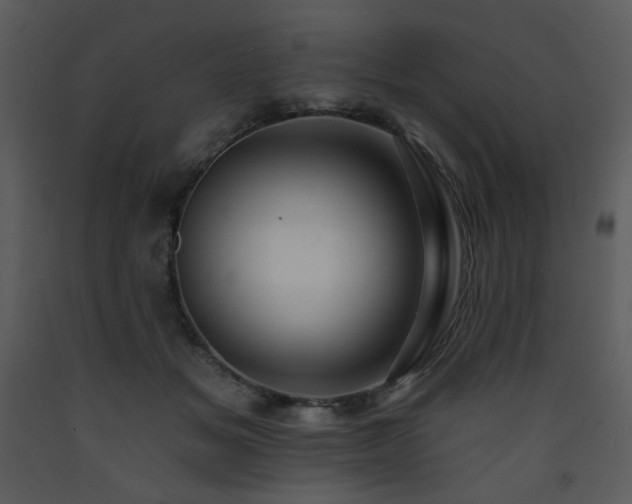 X0000090630509200707171450