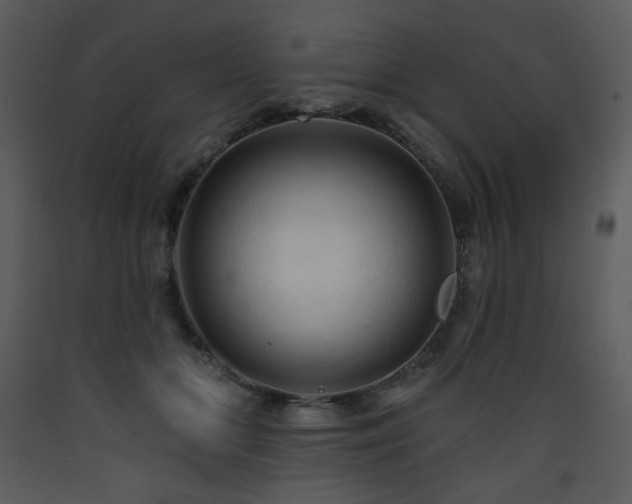 X0000090630510200707171450