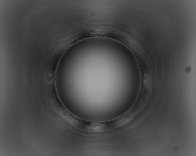 X0000090630514200707171450