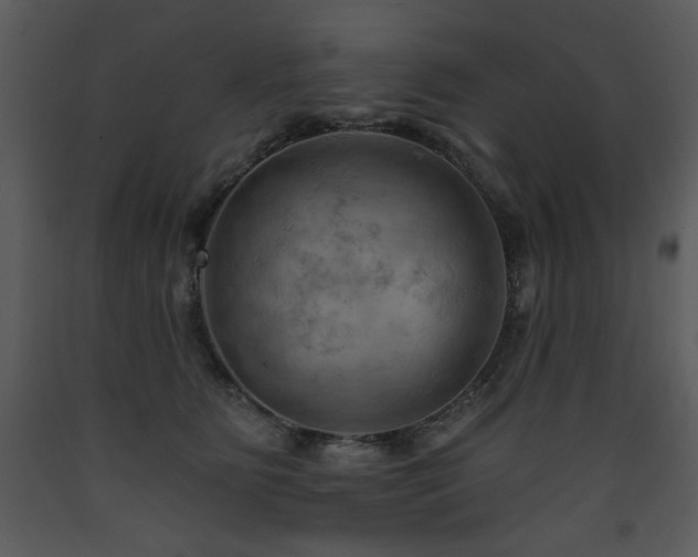 X0000090630515200707171450