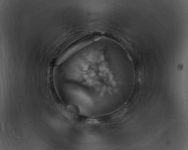 X0000090630519200707171450