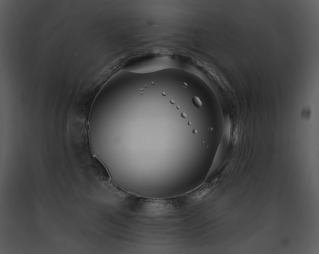 X0000090630521200707171450