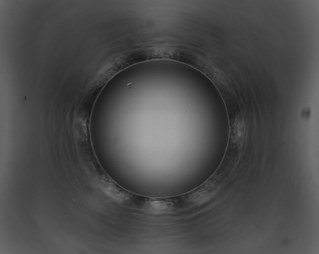 X0000090630522200707171450