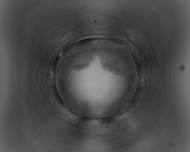 X0000090630523200707171450