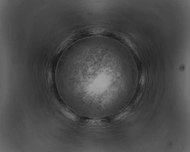 X0000090630524200707171450