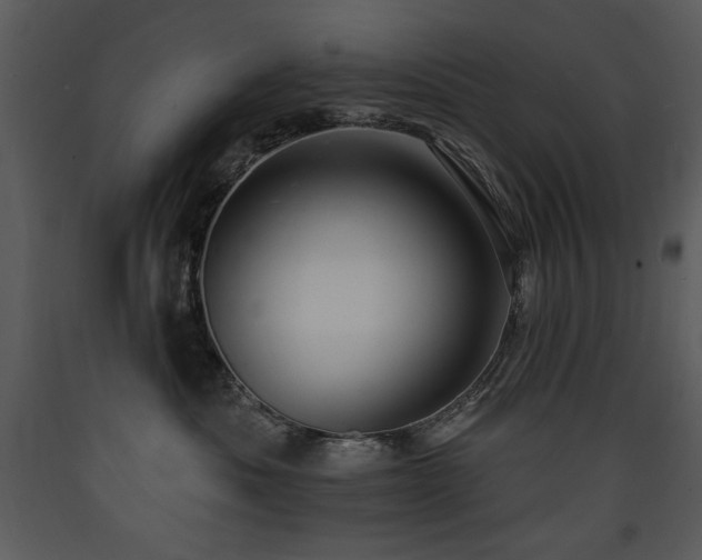 X0000090630525200707171450