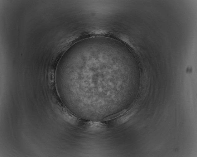 X0000090630528200707171450