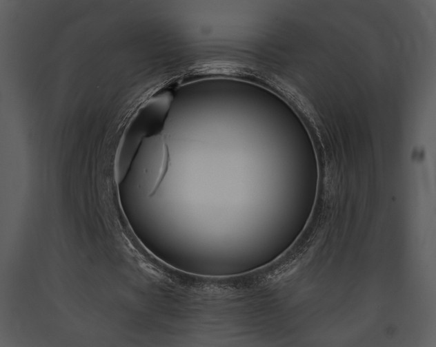 X0000090630529200707171449