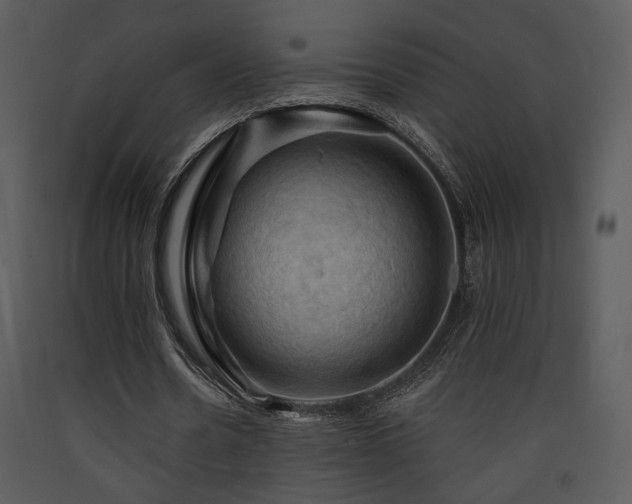 X0000090630530200707171449