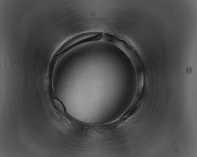 X0000090630532200707171450