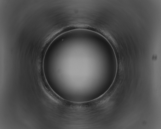 X0000090630533200707171450