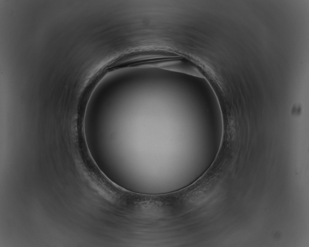 X0000090630535200707171450