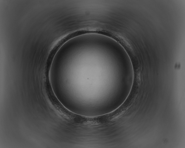X0000090630536200707171450