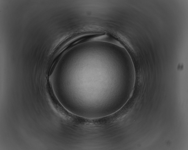 X0000090630538200707171450