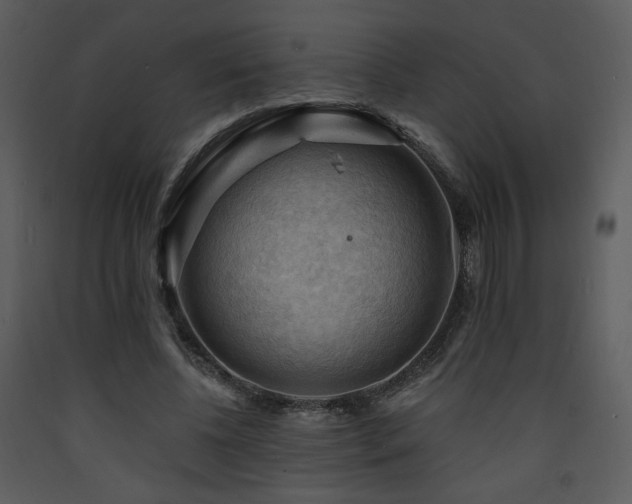 X0000090630540200707171450