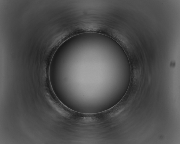 X0000090630541200707171450