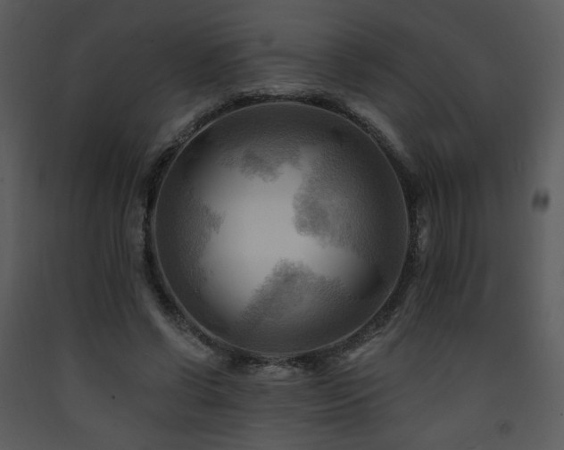 X0000090630542200707171450