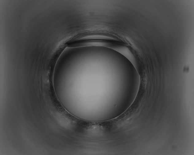 X0000090630543200707171450