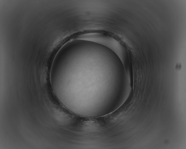 X0000090630544200707171450