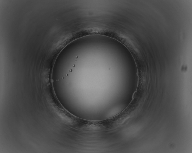 X0000090630545200707171450