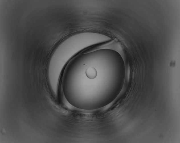 X0000090630546200707171450