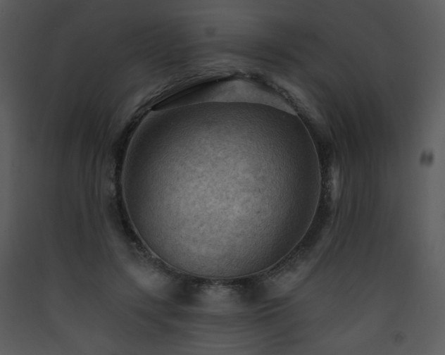 X0000090630547200707171450