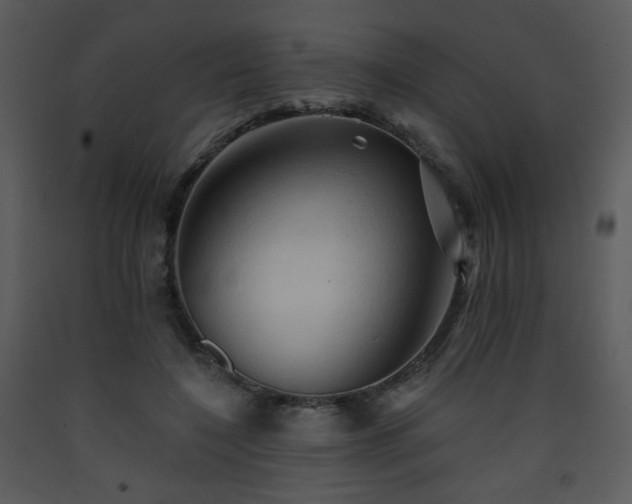 X0000090630548200707171450
