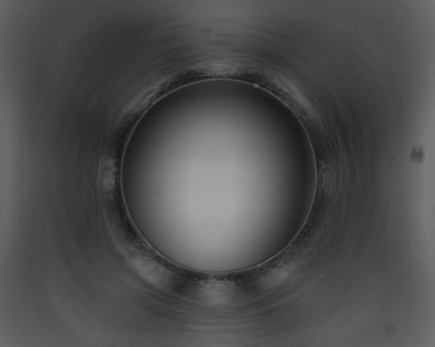 X0000090630549200707171450