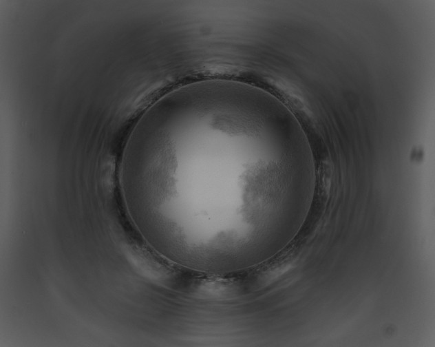 X0000090630550200707171450