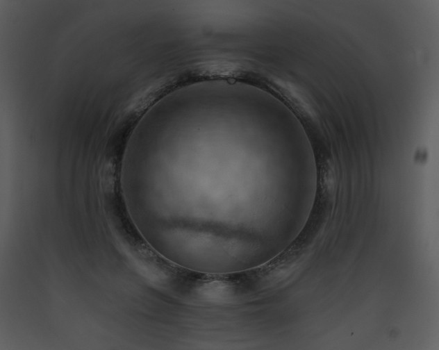 X0000090630551200707171450